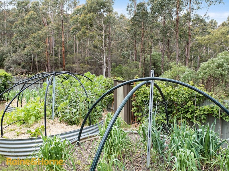 50 Jindalee Drive, Neika TAS 7054