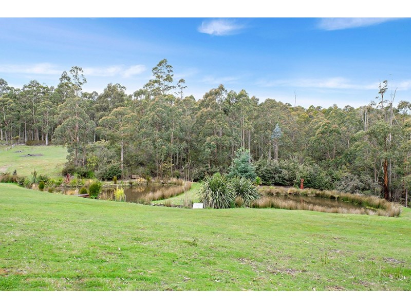 50 Jindalee Drive, Neika TAS 7054