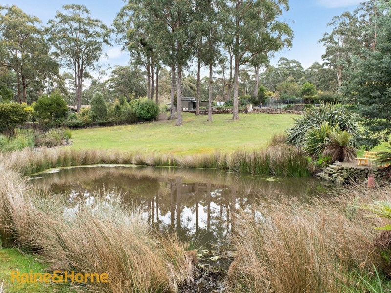 50 Jindalee Drive, Neika TAS 7054