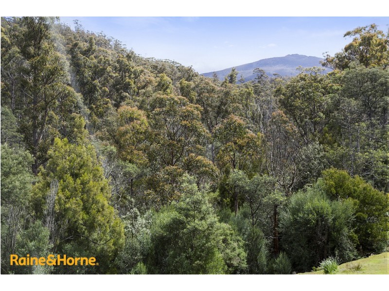 81 Scotts Road, Kingston TAS 7050