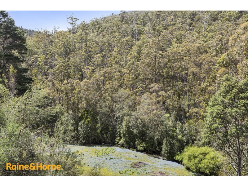 81 Scotts Road, Kingston TAS 7050