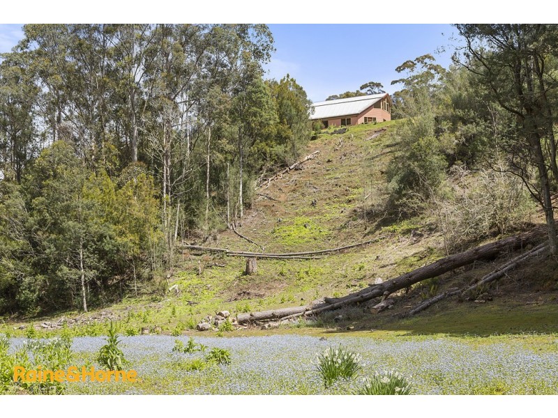 81 Scotts Road, Kingston TAS 7050