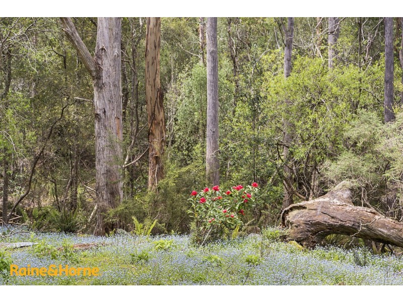 81 Scotts Road, Kingston TAS 7050