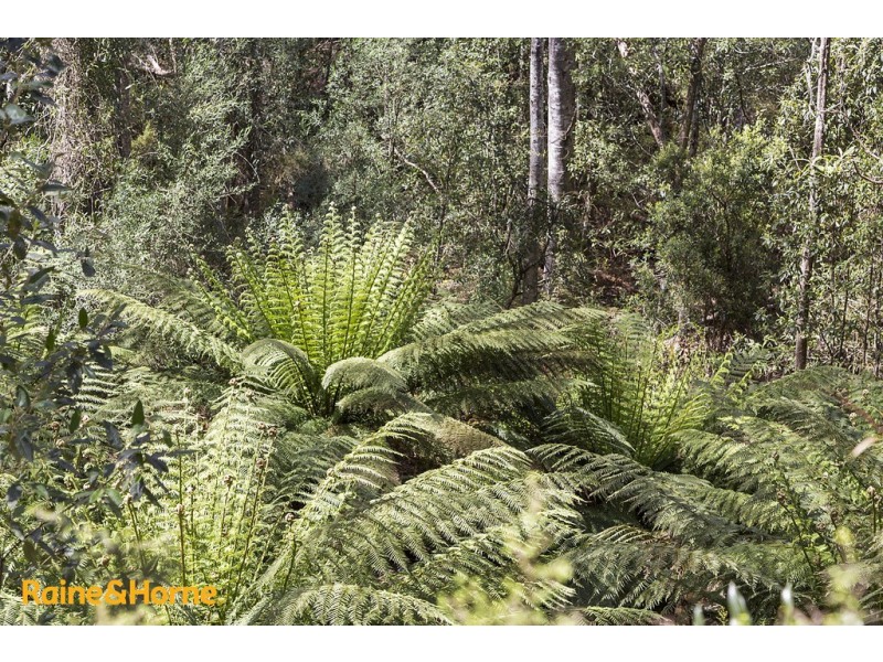 81 Scotts Road, Kingston TAS 7050