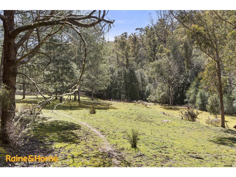 81 Scotts Road, Kingston TAS 7050