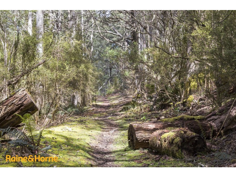 81 Scotts Road, Kingston TAS 7050