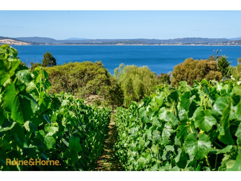 259 Tinderbox Road, Tinderbox TAS 7054