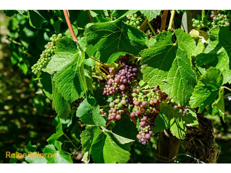 259 Tinderbox Road, Tinderbox TAS 7054