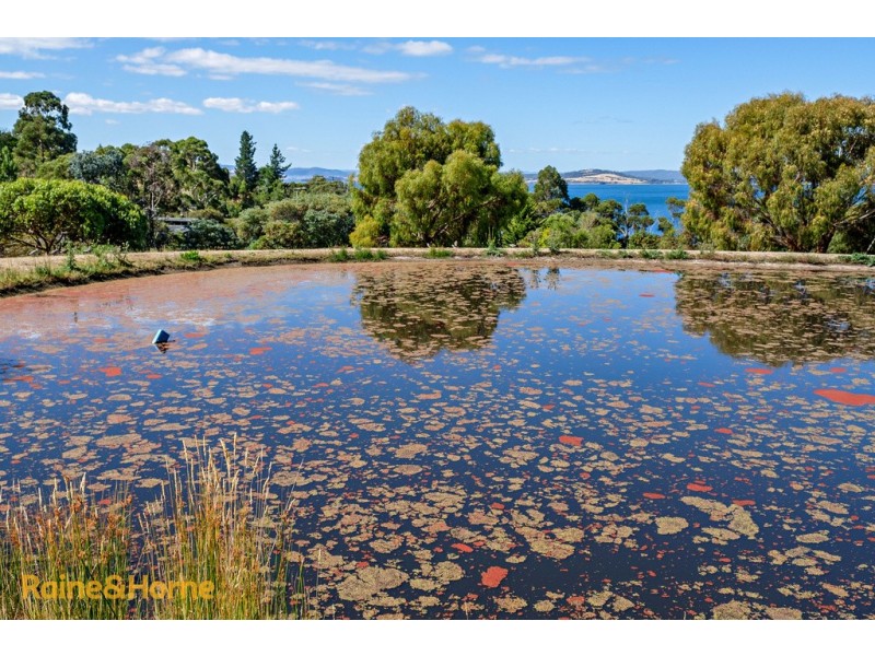 259 Tinderbox Road, Tinderbox TAS 7054