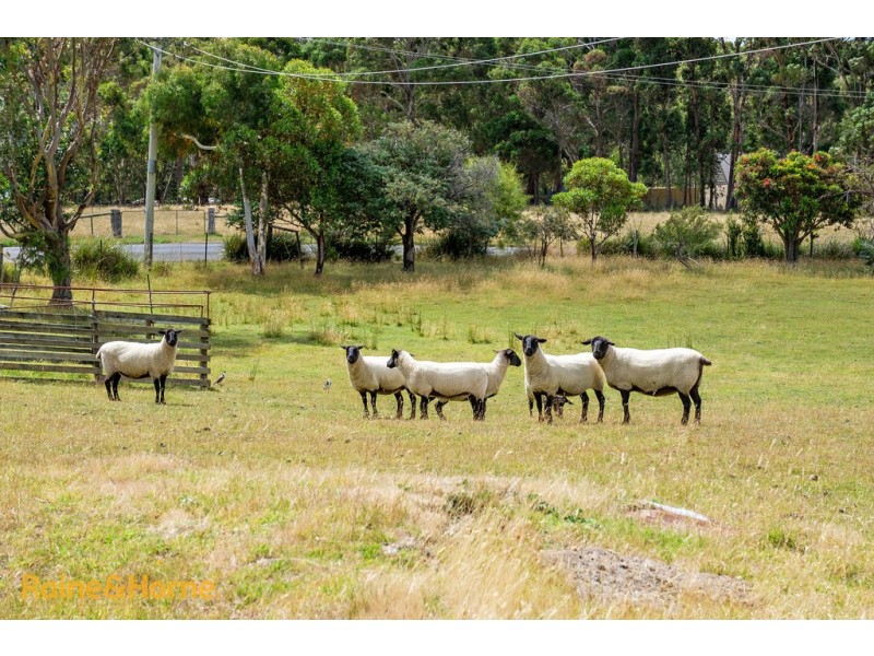 125 Saddle Road, Kettering TAS 7155