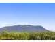 306 Redwood Road, Kingston TAS 7050