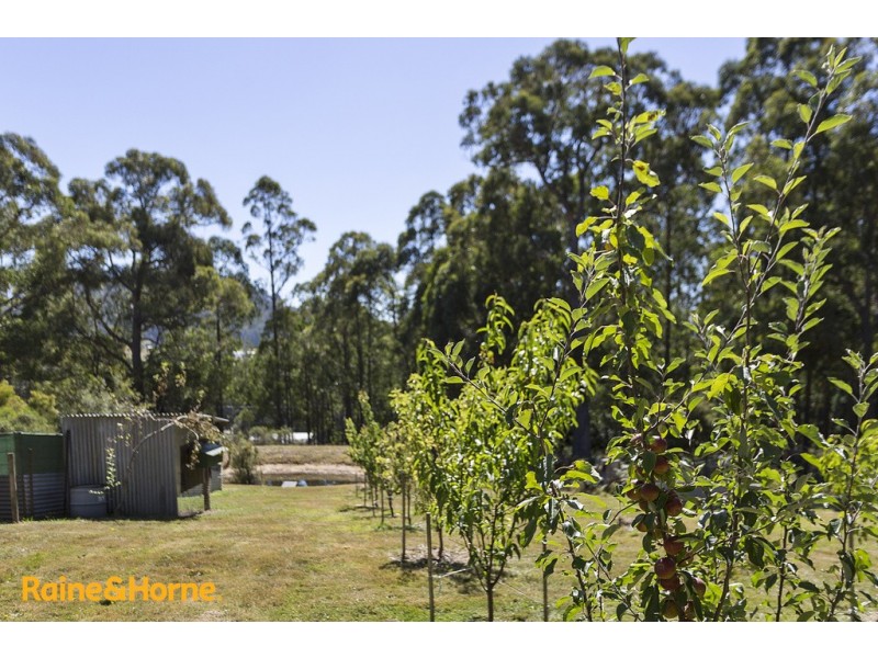 395 Nierinna Road, Margate TAS 7054