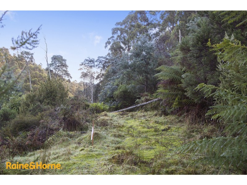95 Palmers Road, Oyster Cove TAS 7150