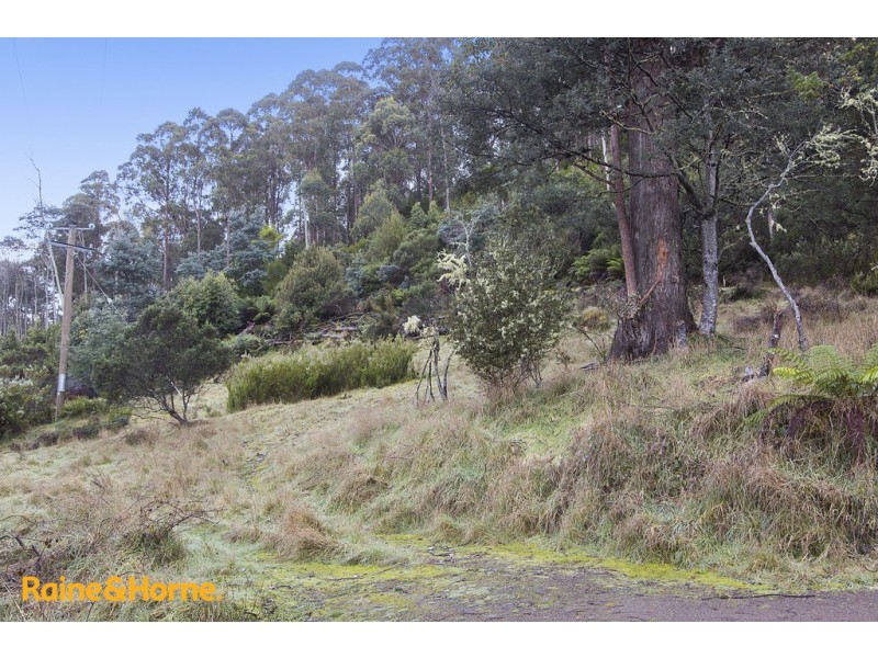 95 Palmers Road, Oyster Cove TAS 7150