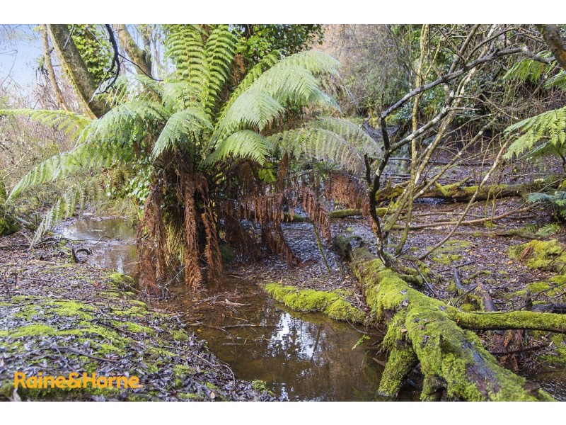 95 Palmers Road, Oyster Cove TAS 7150