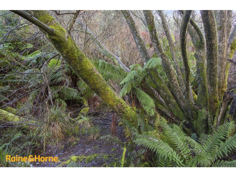 95 Palmers Road, Oyster Cove TAS 7150