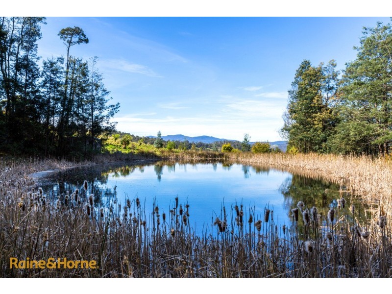 131 Sorell Street, Port Huon TAS 7116