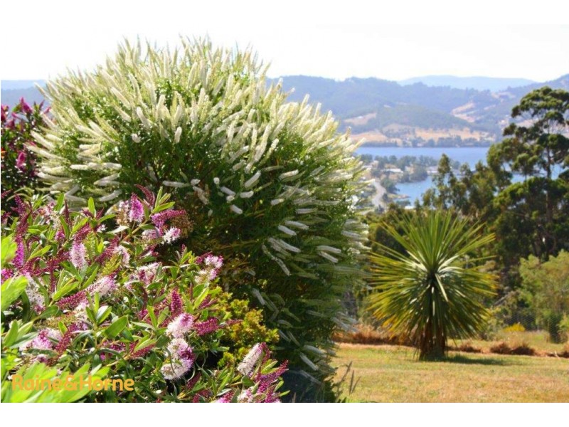 131 Sorell Street, Port Huon TAS 7116