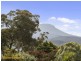 11 Swift Place, Kingston TAS 7050