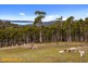 38 Bruschs Road, Oyster Cove TAS 7150