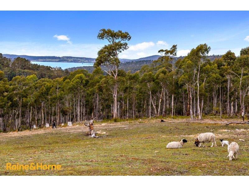 38 Bruschs Road, Oyster Cove TAS 7150
