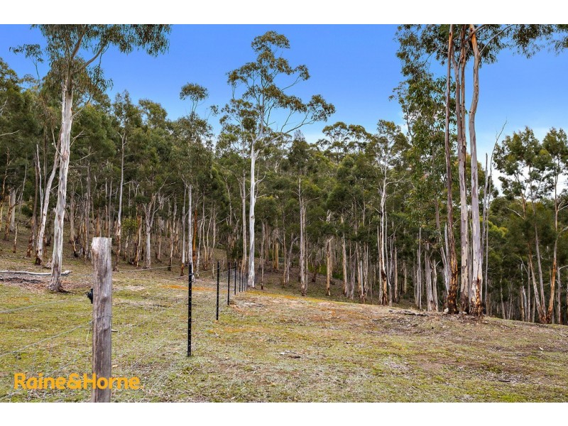 38 Bruschs Road, Oyster Cove TAS 7150