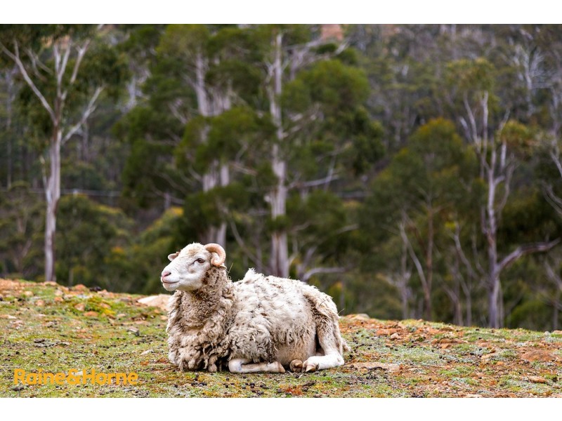 38 Bruschs Road, Oyster Cove TAS 7150
