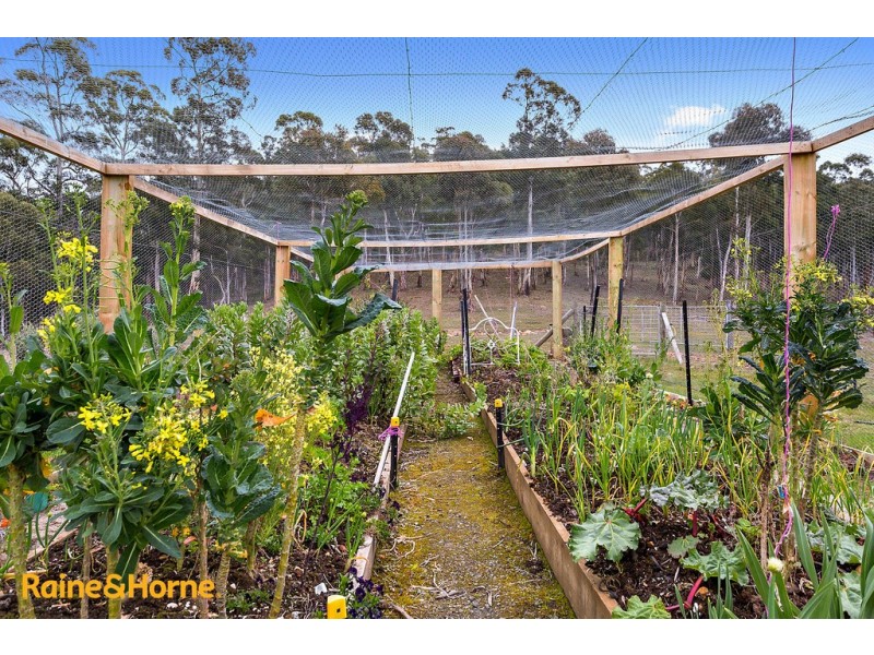 38 Bruschs Road, Oyster Cove TAS 7150