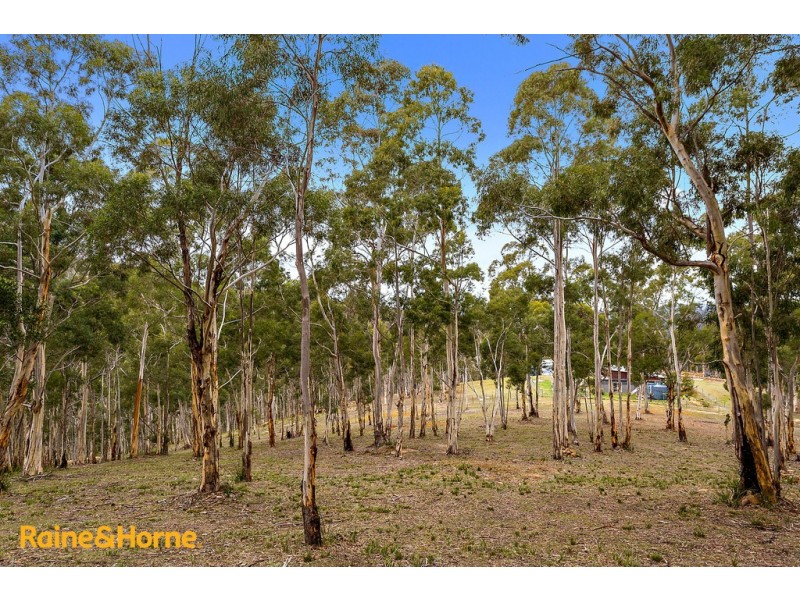 38 Bruschs Road, Oyster Cove TAS 7150