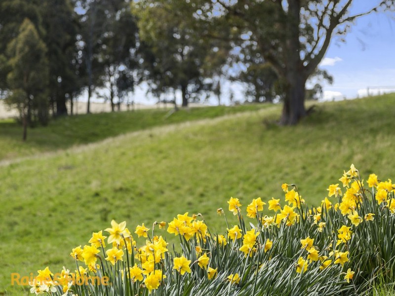 635 Nicholls Rivulet Road, Oyster Cove TAS 7150