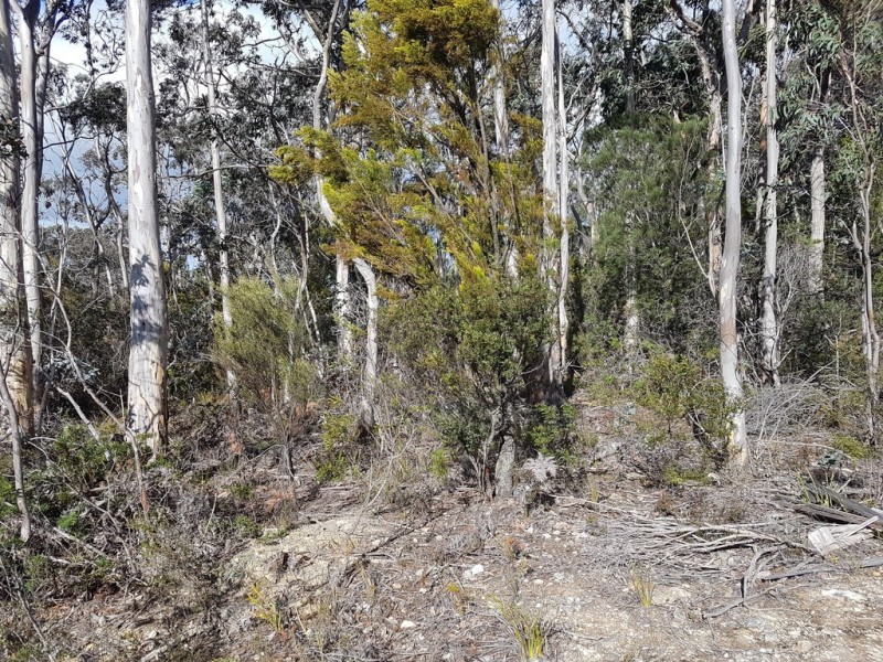Lot 1 Manuka Road, Oyster Cove TAS 7150