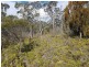 Lot 1 Manuka Road, Oyster Cove TAS 7150