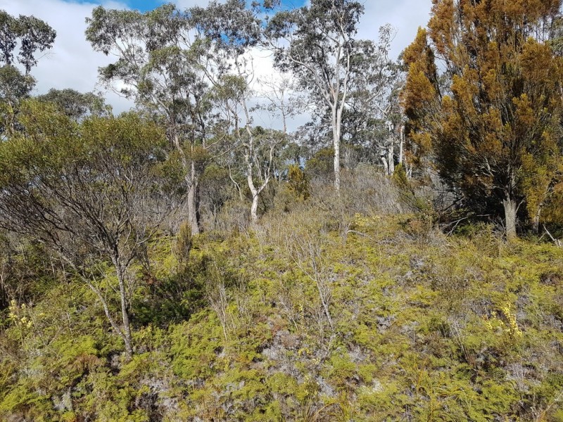 Lot 1 Manuka Road, Oyster Cove TAS 7150