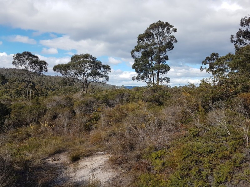 Lot 1 Manuka Road, Oyster Cove TAS 7150
