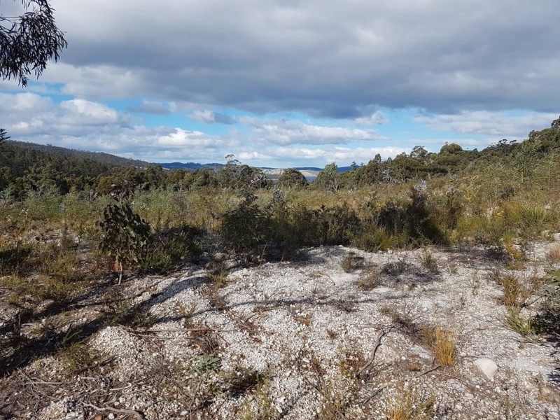 Lot 1 Manuka Road, Oyster Cove TAS 7150