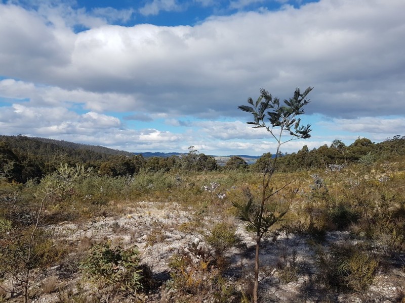 Lot 1 Manuka Road, Oyster Cove TAS 7150