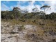 Lot 1 Manuka Road, Oyster Cove TAS 7150