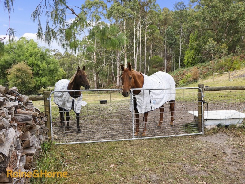 301 Summerleas Road, Kingston TAS 7050