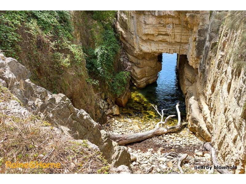 55 Blowhole Road, Blackmans Bay TAS 7052