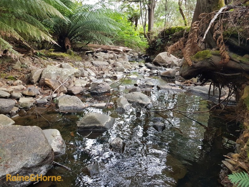 59 Thomsons Road, Allens Rivulet TAS 7150