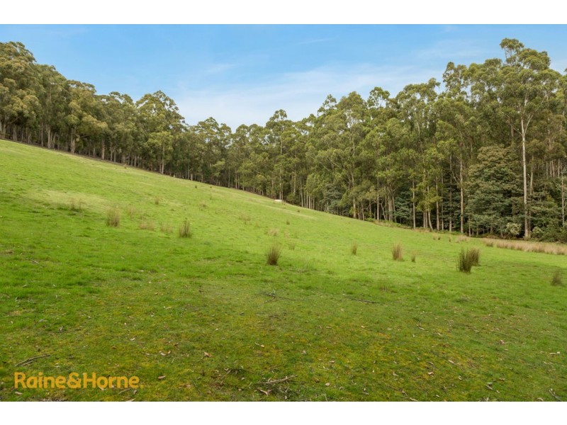 59 Thomsons Road, Allens Rivulet TAS 7150