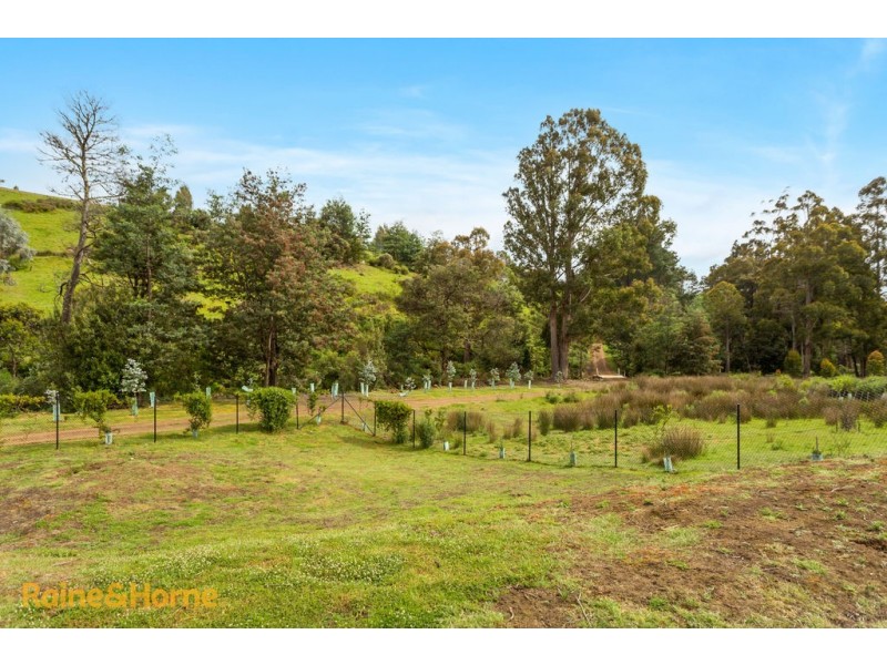 59 Thomsons Road, Allens Rivulet TAS 7150