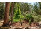 529 Sandfly Road, Sandfly TAS 7150