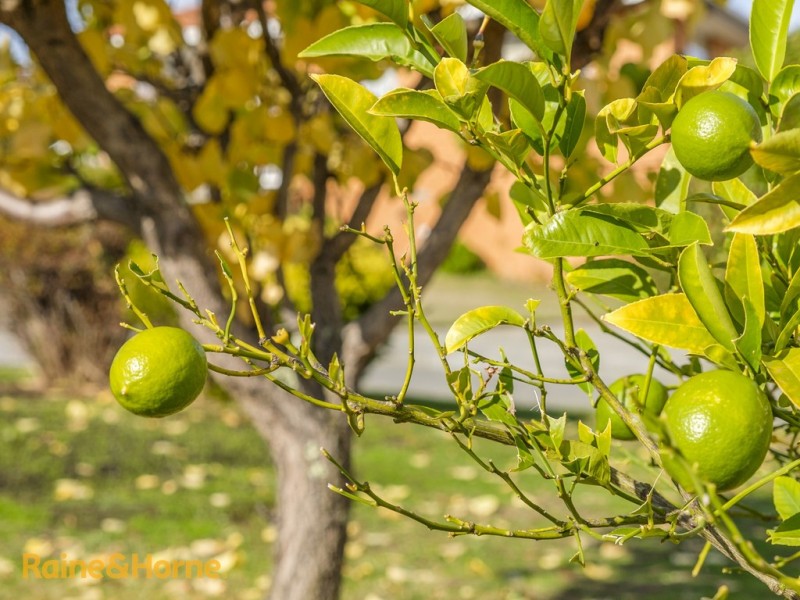 376 Argyle Drive, Kingston TAS 7050