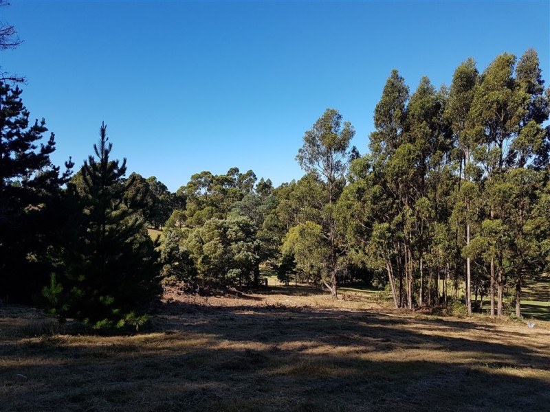 Lots 1 and 3 Channel Highway, Gordon TAS 7150