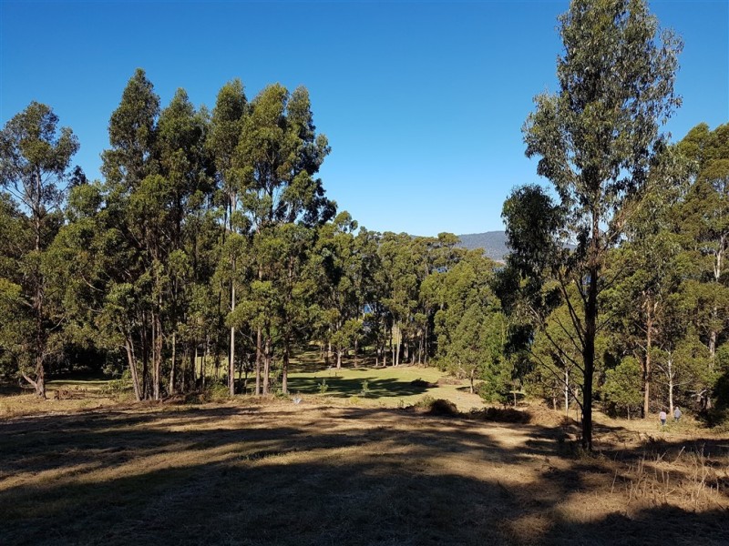 Lots 1 and 3 Channel Highway, Gordon TAS 7150