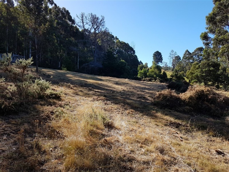 Lots 1 and 3 Channel Highway, Gordon TAS 7150