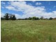 13 Boyle Street, Triabunna TAS 7190