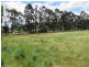 13 Boyle Street, Triabunna TAS 7190
