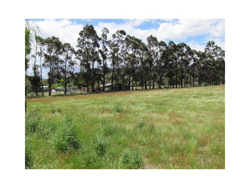 13 Boyle Street, Triabunna TAS 7190